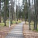 Парк в городе Саров