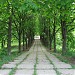 Незавершенная Ленинская аллея в городе Киев
