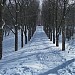 Незавершенная Ленинская аллея в городе Киев