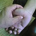 SnS Wellness Healing Services in Miri city