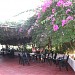 Corfu Hotel 3* in Ayia Napa city