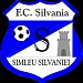 Stadionul Magura (Simleu Silvaniei)
