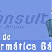 Consult Jr na Salvador city