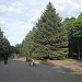 Парк «Быханов сад»