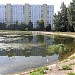 Дунькин пруд (Круглое озеро) в городе Москва