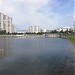 Михайловский (Верхний Каменский) пруд в городе Москва