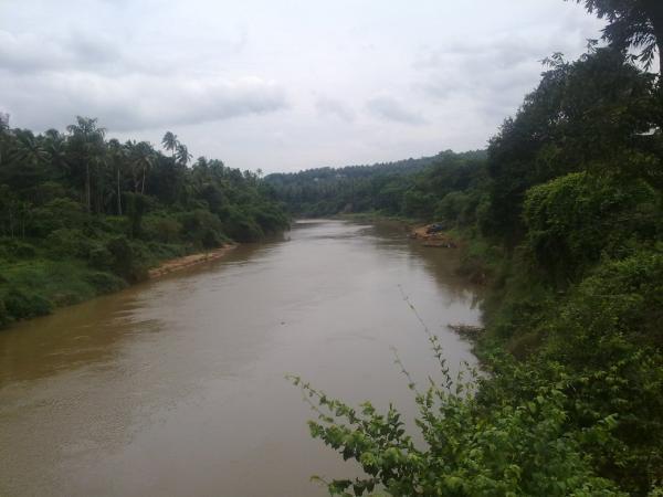 thookkupalam map State bank of travancore, thookkupalam branch, idukki, kerala, find ifsc, micr codes, address, all bank branches in india, for neft, rtgs, ecs transactions. thookkupalam map State bank of travancore, thookkupalam branch, idukki, kerala, find ifsc, micr codes, address, all bank branches in india, for neft, rtgs, ecs transactions.