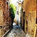 Biot