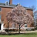Wyman Quad - Johns Hopkins University in Baltimore, Maryland city