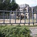Слоновник в городе Киев