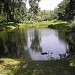 Пруды в русле ручья Песчаного в городе Киев