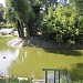 Пруды в русле речья Песчаного (птицы) в городе Киев