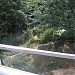 Animal island in Kyiv city