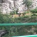 Остров животных в городе Киев
