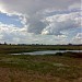 Восточный (Верхний) Бурцевский пруд в городе Москва