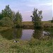 Полевой пруд в городе Домодедово