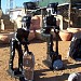 Roadside Curios Stand in Francistown city
