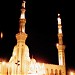 Grand Mosque of The Great Saint El Said El Badawī in Tanta city