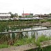 Бывший пруд в городе Павловский Посад