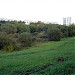 Пойма реки Городни в городе Москва
