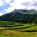 03005751807 in Kahuta city
