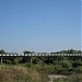 Автомобильный мост в городе Сердобск