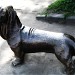Памятник собаке по кличке Дружок в городе Кострома