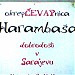 Harambasa -Čevapnica, welcome to Sarajevo (en) in Ljubljana city
