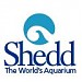 The Shedd Aquarium