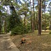 Park Brzeźnieński im. J. Haffnera in Gdańsk city