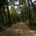 Park Brzeźnieński im. J. Haffnera in Gdańsk city