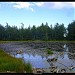 Small Lake