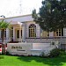 Ulliri in Tiranë city
