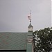 Келії крилошан в місті Київ
