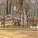 Ботанический памятник природы Гинкго Билоба — реликтовое дерево, единственное в городе в городе Таганрог