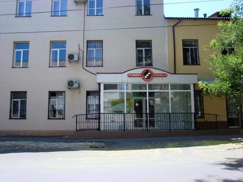 Floarea Soarelui Bălţi