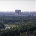 Північно-Дарницький лісопарк в місті Київ