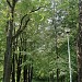 Усадьба Маркучяй в городе Вильнюс