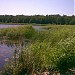 Песчаная коса в городе Киев