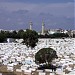 Monastir Cemetery dans la ville de Monastir