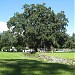 Henry and Ola Park in Tampa, Florida city