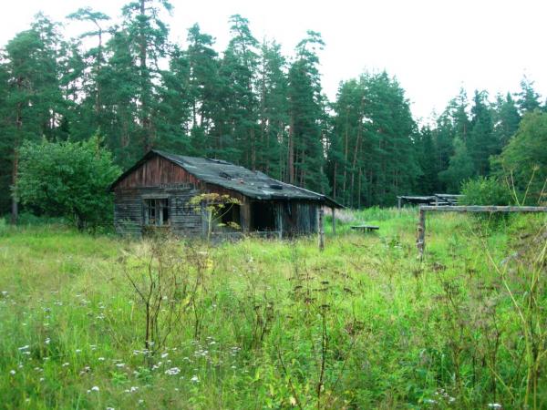 Заброшенная сторожка в лесу