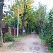 Дачно-строительный кооператив (ДСК) «Зелёный городок» в городе Пушкино