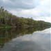 Pławniowice reservoir