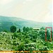 AlKassis Rocks - Historical Mouldings in Hrajel city