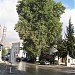 Au Buzard in Hrajel city