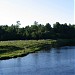 Неофициальный городской пляж в городе Кингисепп