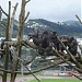 Wellington Zoo in Wellington city