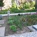 Старое православное кладбище - Валаамское подворье в городе Приозерск
