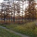 Парк «Лесок» в городе Магадан